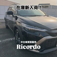 画像251