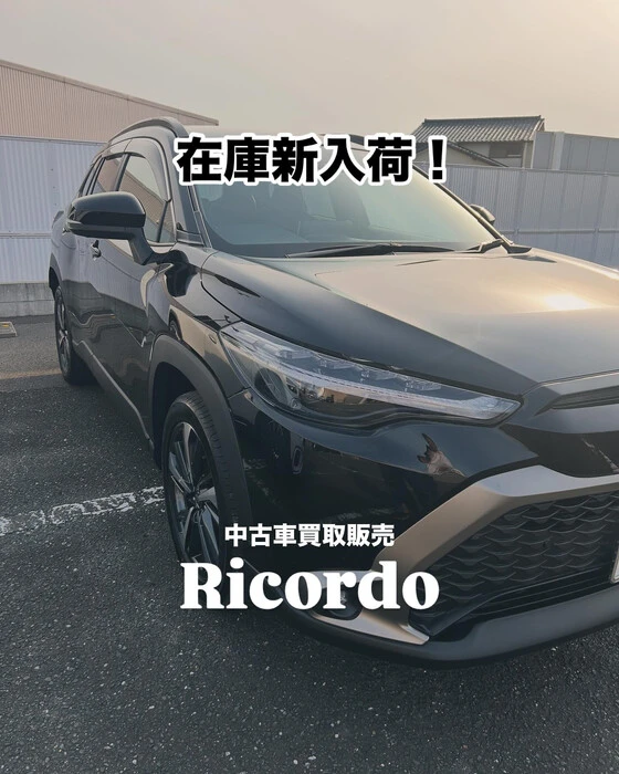 画像251